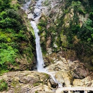 Meet your Posher, Angel